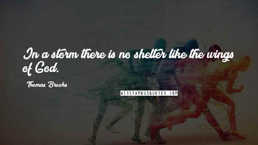 Thomas Brooks Quotes: In a storm there is no shelter like the wings of God.