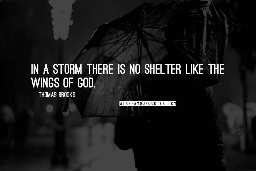 Thomas Brooks Quotes: In a storm there is no shelter like the wings of God.