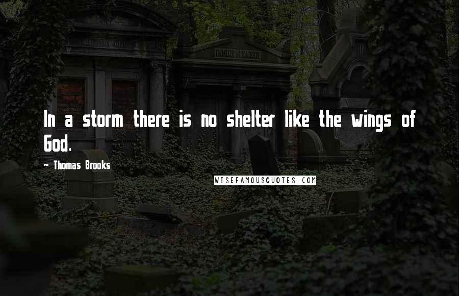 Thomas Brooks Quotes: In a storm there is no shelter like the wings of God.