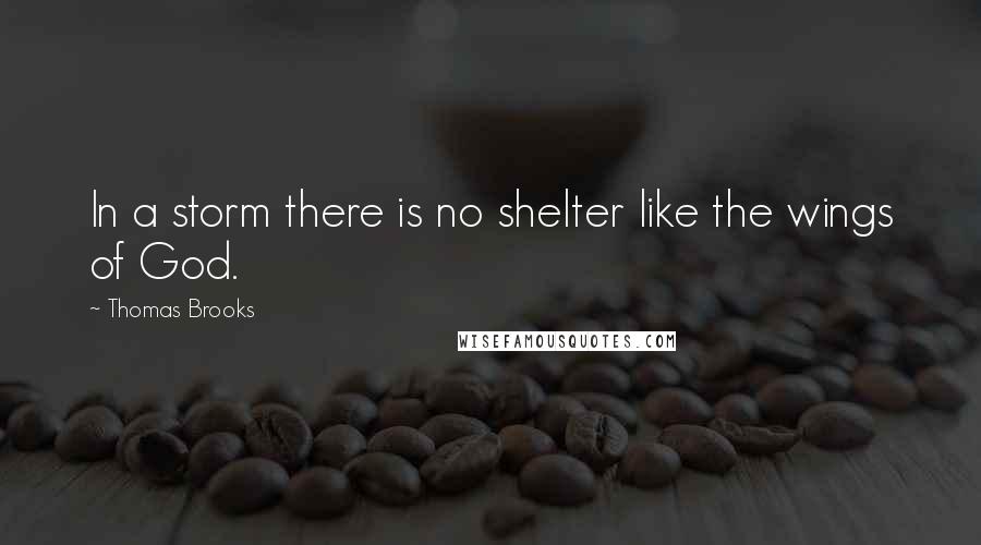Thomas Brooks Quotes: In a storm there is no shelter like the wings of God.