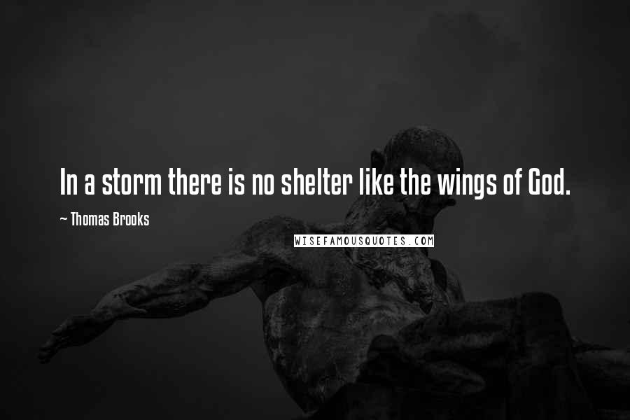 Thomas Brooks Quotes: In a storm there is no shelter like the wings of God.