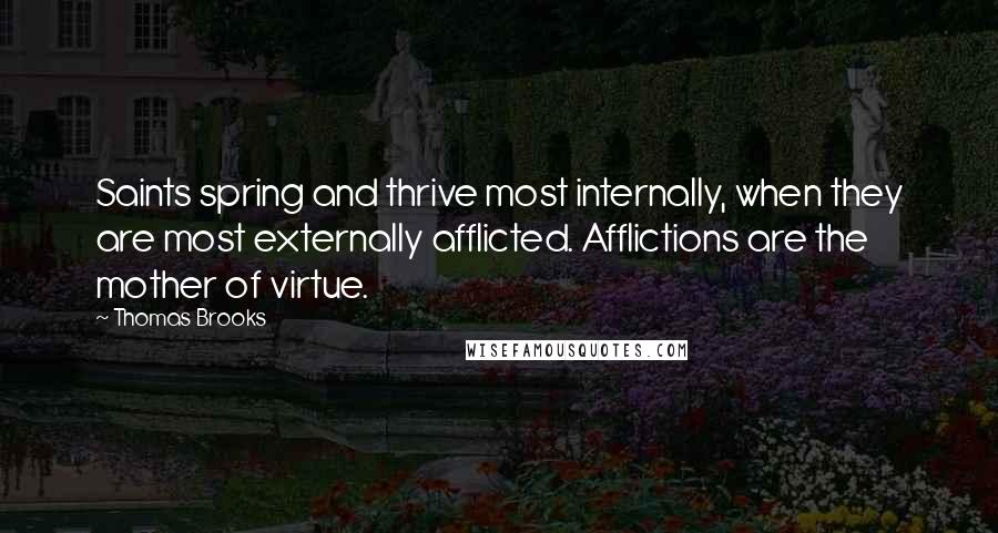 Thomas Brooks Quotes: Saints spring and thrive most internally, when they are most externally afflicted. Afflictions are the mother of virtue.