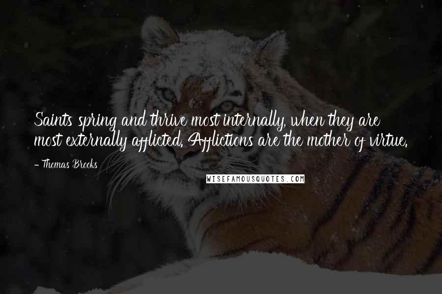 Thomas Brooks Quotes: Saints spring and thrive most internally, when they are most externally afflicted. Afflictions are the mother of virtue.