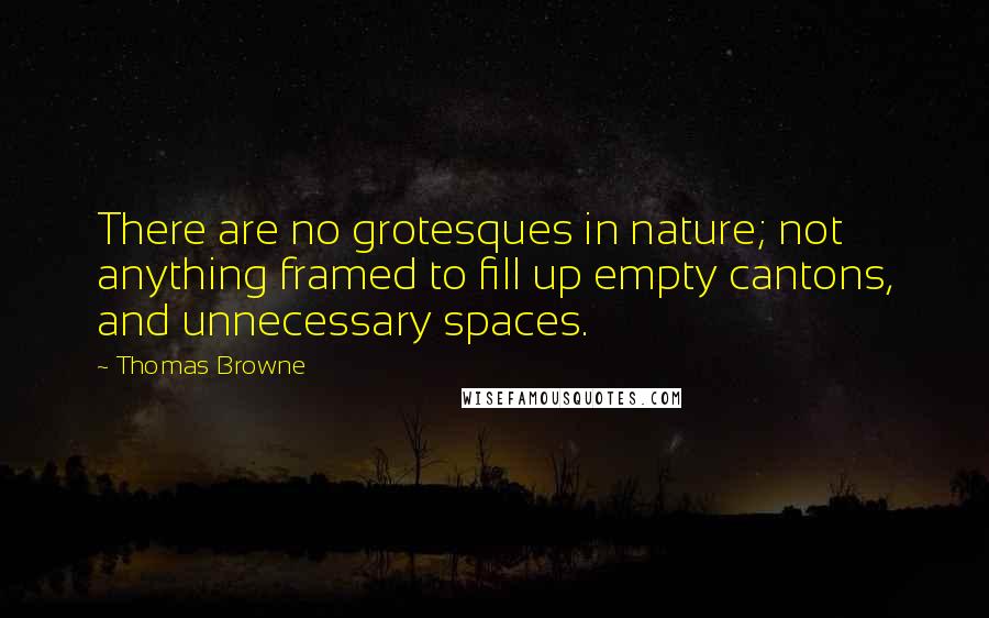 Thomas Browne Quotes: There are no grotesques in nature; not anything framed to fill up empty cantons, and unnecessary spaces.