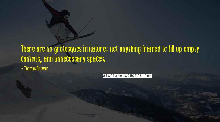 Thomas Browne Quotes: There are no grotesques in nature; not anything framed to fill up empty cantons, and unnecessary spaces.