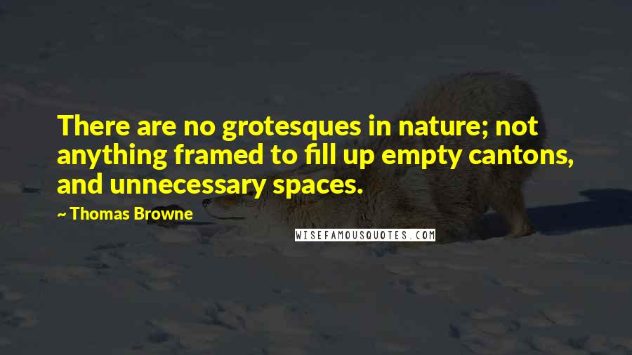 Thomas Browne Quotes: There are no grotesques in nature; not anything framed to fill up empty cantons, and unnecessary spaces.