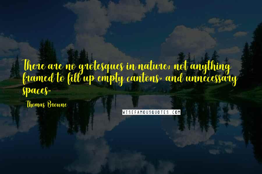 Thomas Browne Quotes: There are no grotesques in nature; not anything framed to fill up empty cantons, and unnecessary spaces.