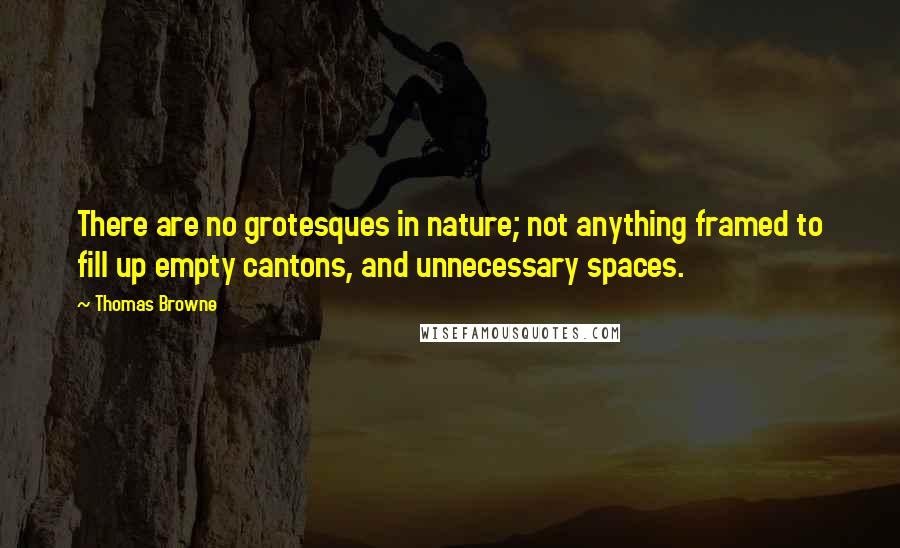 Thomas Browne Quotes: There are no grotesques in nature; not anything framed to fill up empty cantons, and unnecessary spaces.