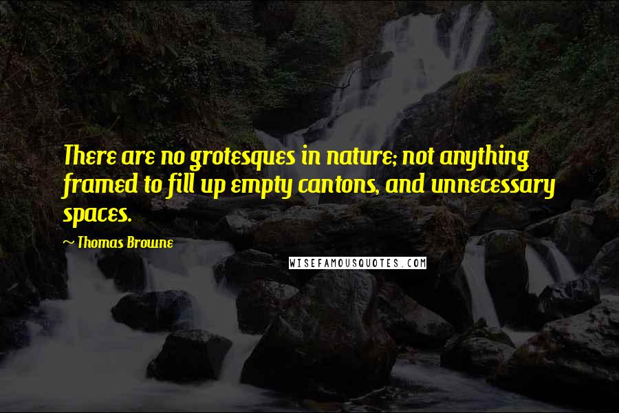 Thomas Browne Quotes: There are no grotesques in nature; not anything framed to fill up empty cantons, and unnecessary spaces.