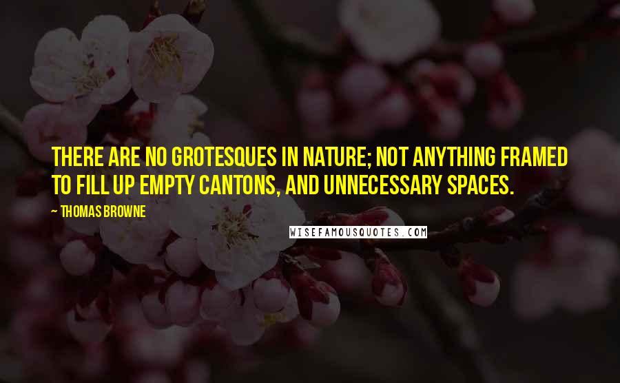 Thomas Browne Quotes: There are no grotesques in nature; not anything framed to fill up empty cantons, and unnecessary spaces.