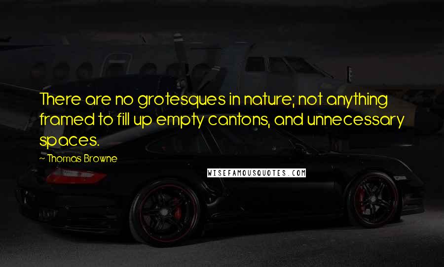 Thomas Browne Quotes: There are no grotesques in nature; not anything framed to fill up empty cantons, and unnecessary spaces.