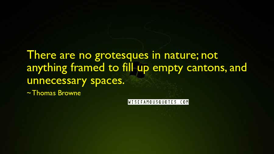 Thomas Browne Quotes: There are no grotesques in nature; not anything framed to fill up empty cantons, and unnecessary spaces.