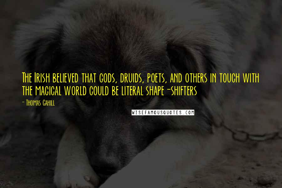 Thomas Cahill Quotes: The Irish believed that gods, druids, poets, and others in touch with the magical world could be literal shape-shifters