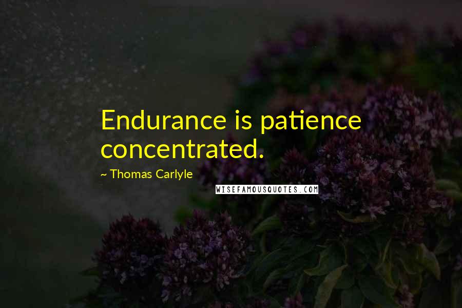 Thomas Carlyle Quotes: Endurance is patience concentrated.