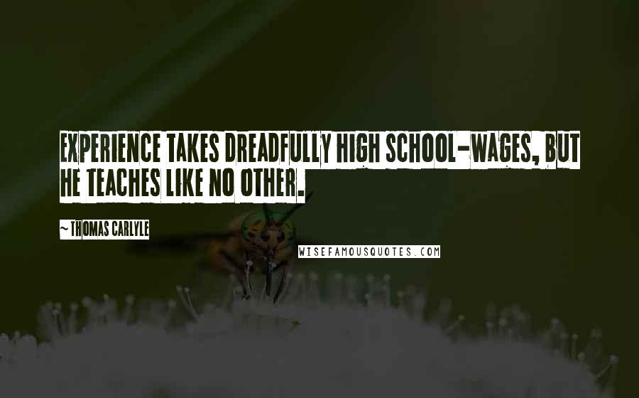 Thomas Carlyle Quotes: Experience takes dreadfully high school-wages, but he teaches like no other.