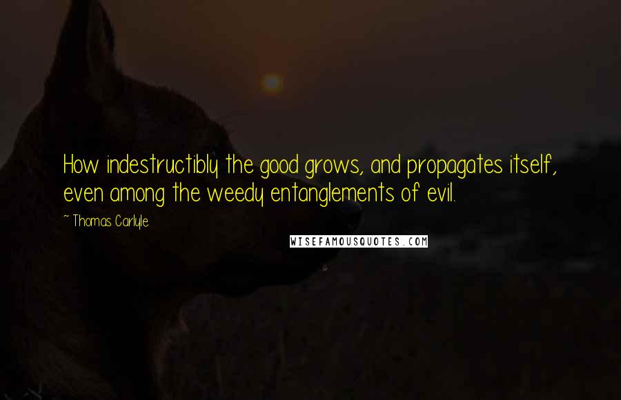 Thomas Carlyle Quotes: How indestructibly the good grows, and propagates itself, even among the weedy entanglements of evil.