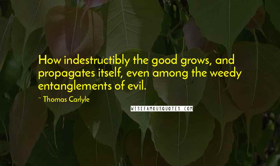 Thomas Carlyle Quotes: How indestructibly the good grows, and propagates itself, even among the weedy entanglements of evil.