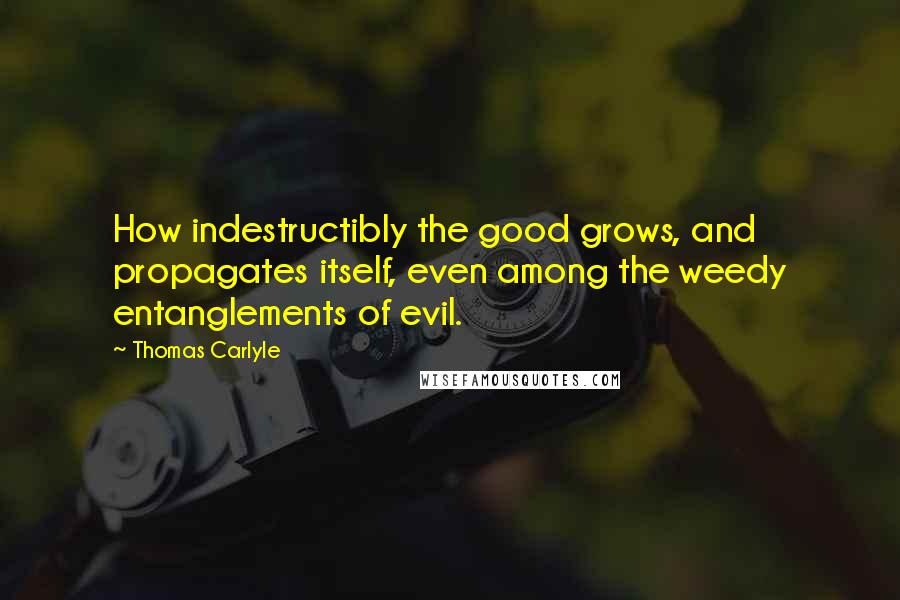 Thomas Carlyle Quotes: How indestructibly the good grows, and propagates itself, even among the weedy entanglements of evil.