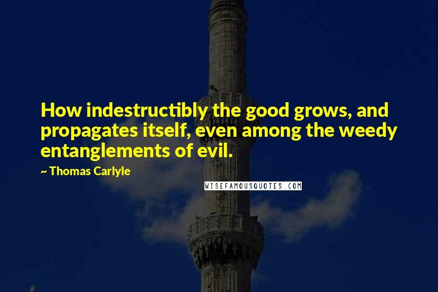 Thomas Carlyle Quotes: How indestructibly the good grows, and propagates itself, even among the weedy entanglements of evil.