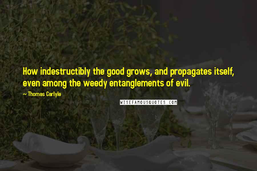Thomas Carlyle Quotes: How indestructibly the good grows, and propagates itself, even among the weedy entanglements of evil.