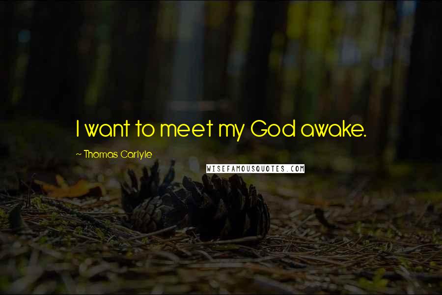 Thomas Carlyle Quotes: I want to meet my God awake.
