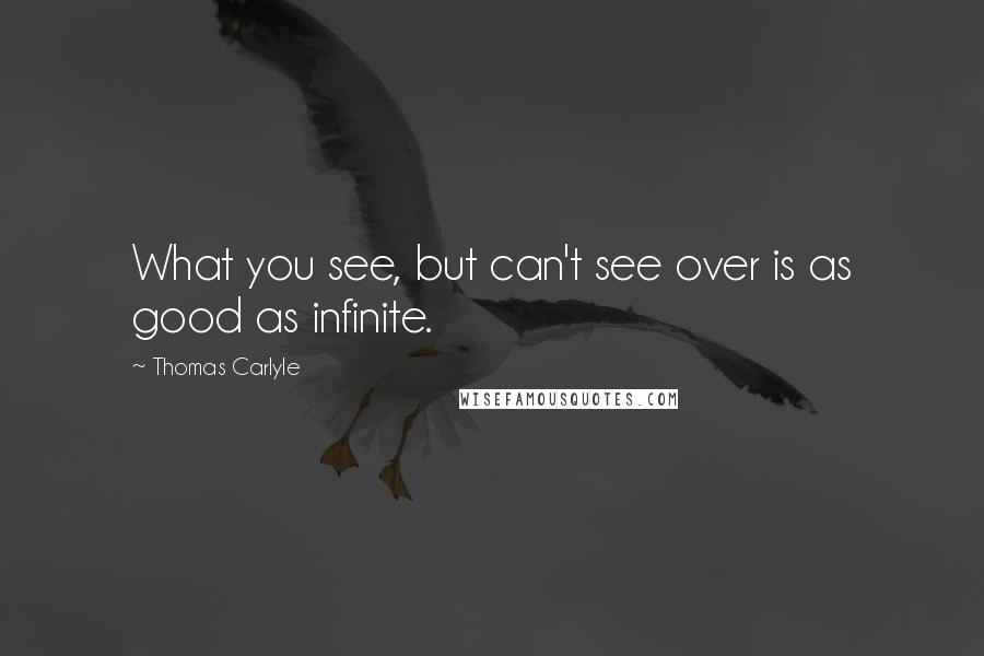 Thomas Carlyle Quotes: What you see, but can't see over is as good as infinite.