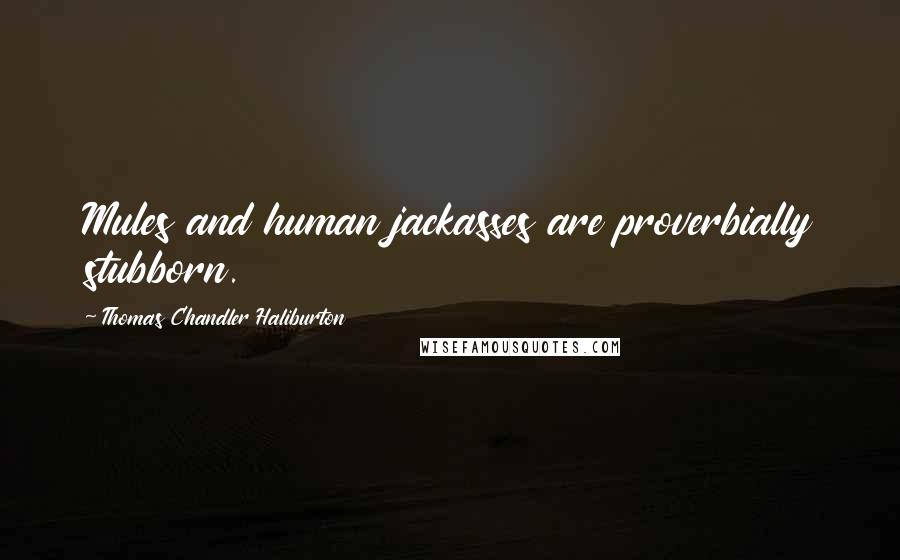 Thomas Chandler Haliburton Quotes: Mules and human jackasses are proverbially stubborn.