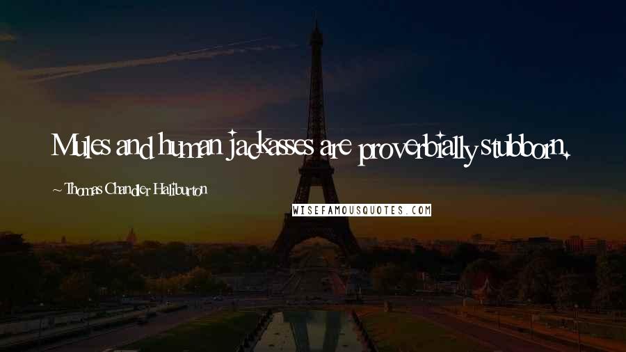 Thomas Chandler Haliburton Quotes: Mules and human jackasses are proverbially stubborn.