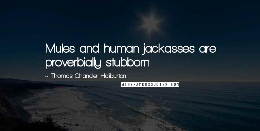Thomas Chandler Haliburton Quotes: Mules and human jackasses are proverbially stubborn.