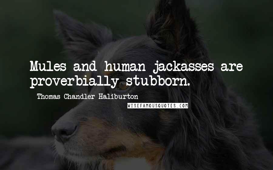 Thomas Chandler Haliburton Quotes: Mules and human jackasses are proverbially stubborn.