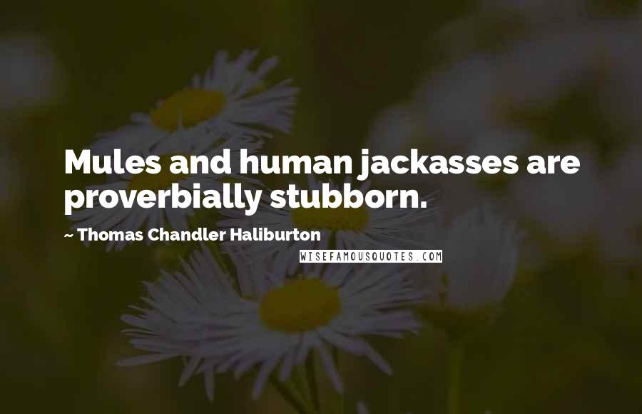 Thomas Chandler Haliburton Quotes: Mules and human jackasses are proverbially stubborn.