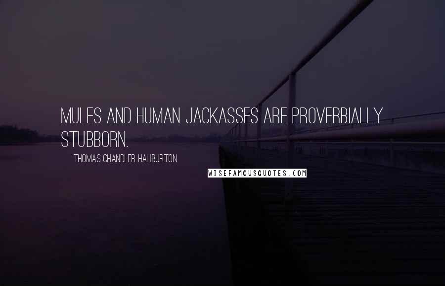 Thomas Chandler Haliburton Quotes: Mules and human jackasses are proverbially stubborn.