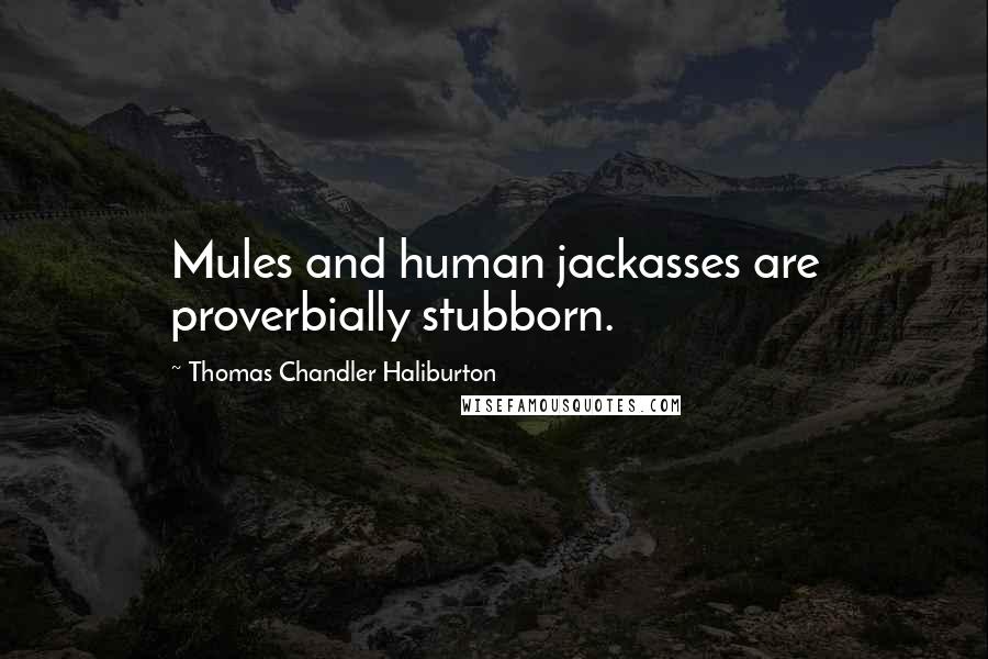 Thomas Chandler Haliburton Quotes: Mules and human jackasses are proverbially stubborn.