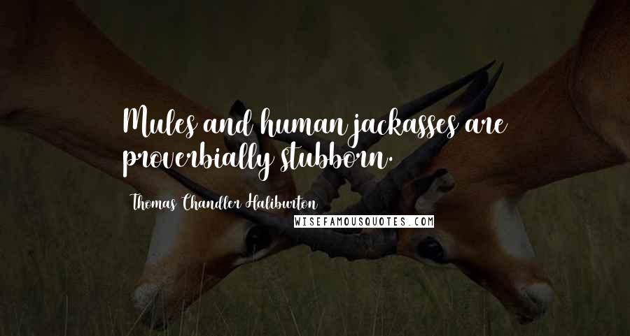 Thomas Chandler Haliburton Quotes: Mules and human jackasses are proverbially stubborn.