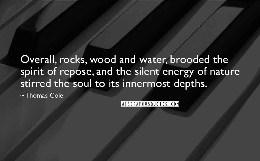 Thomas Cole Quotes: Overall, rocks, wood and water, brooded the spirit of repose, and the silent energy of nature stirred the soul to its innermost depths.