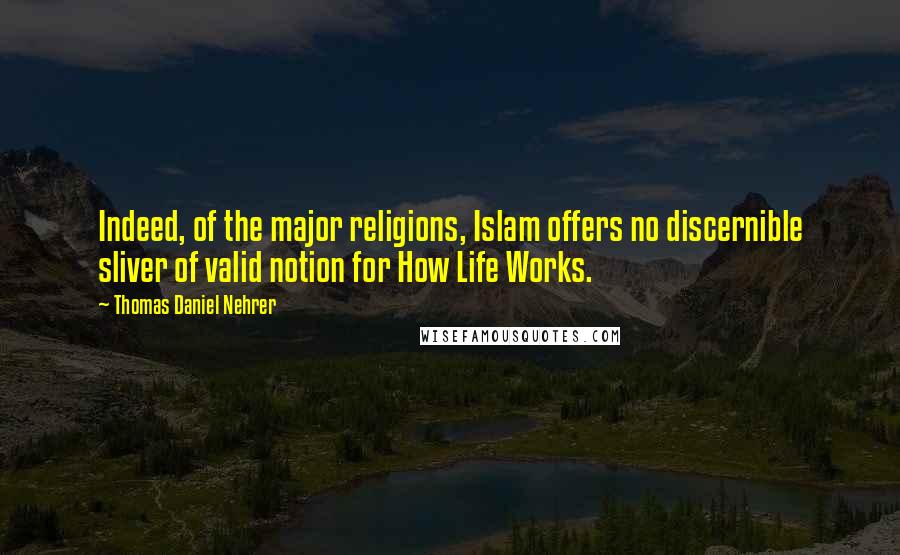 Thomas Daniel Nehrer Quotes: Indeed, of the major religions, Islam offers no discernible sliver of valid notion for How Life Works.