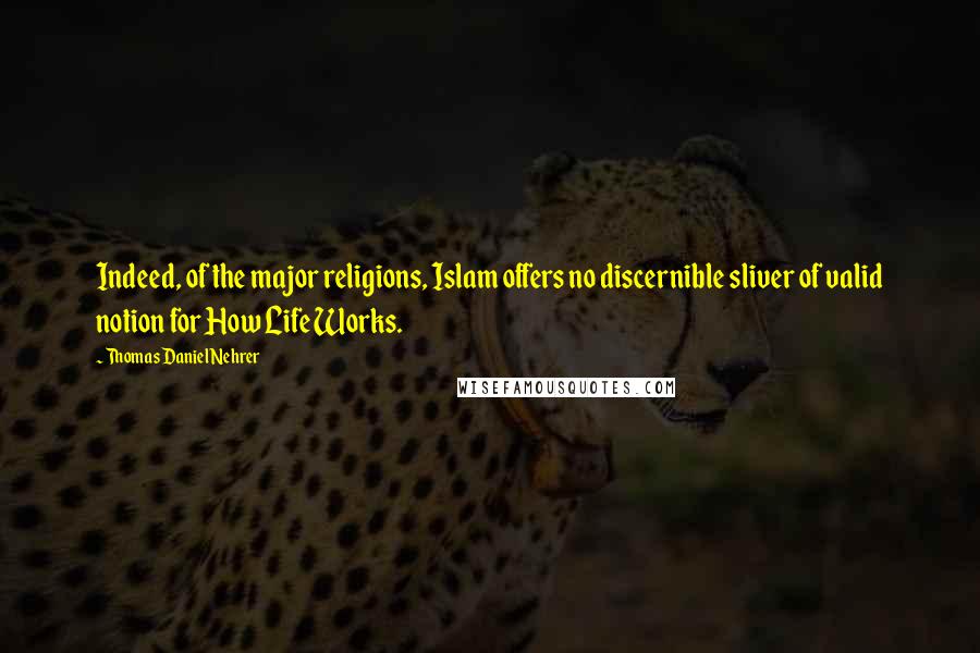 Thomas Daniel Nehrer Quotes: Indeed, of the major religions, Islam offers no discernible sliver of valid notion for How Life Works.