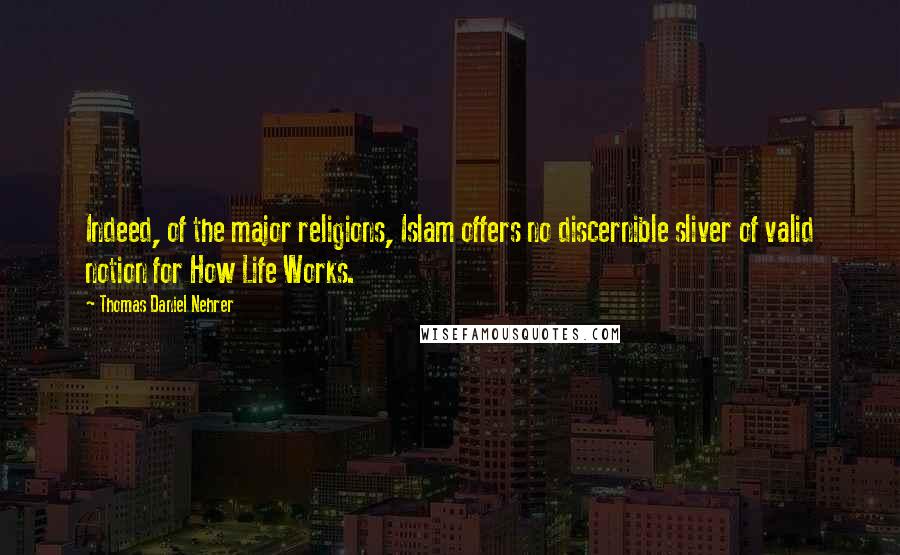 Thomas Daniel Nehrer Quotes: Indeed, of the major religions, Islam offers no discernible sliver of valid notion for How Life Works.