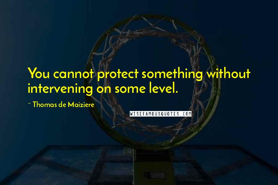 Thomas De Maiziere Quotes: You cannot protect something without intervening on some level.