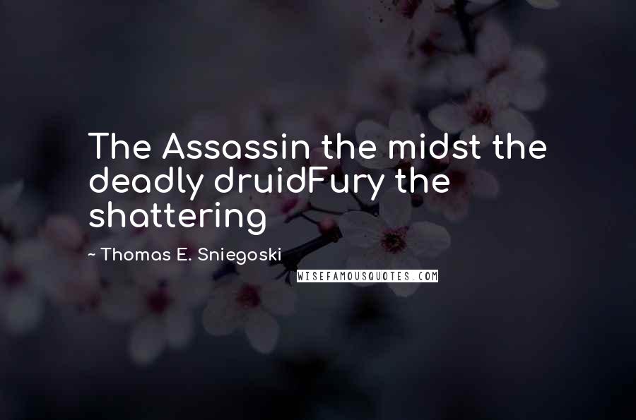 Thomas E. Sniegoski Quotes: The Assassin the midst the deadly druidFury the shattering