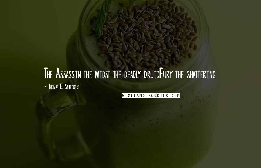 Thomas E. Sniegoski Quotes: The Assassin the midst the deadly druidFury the shattering