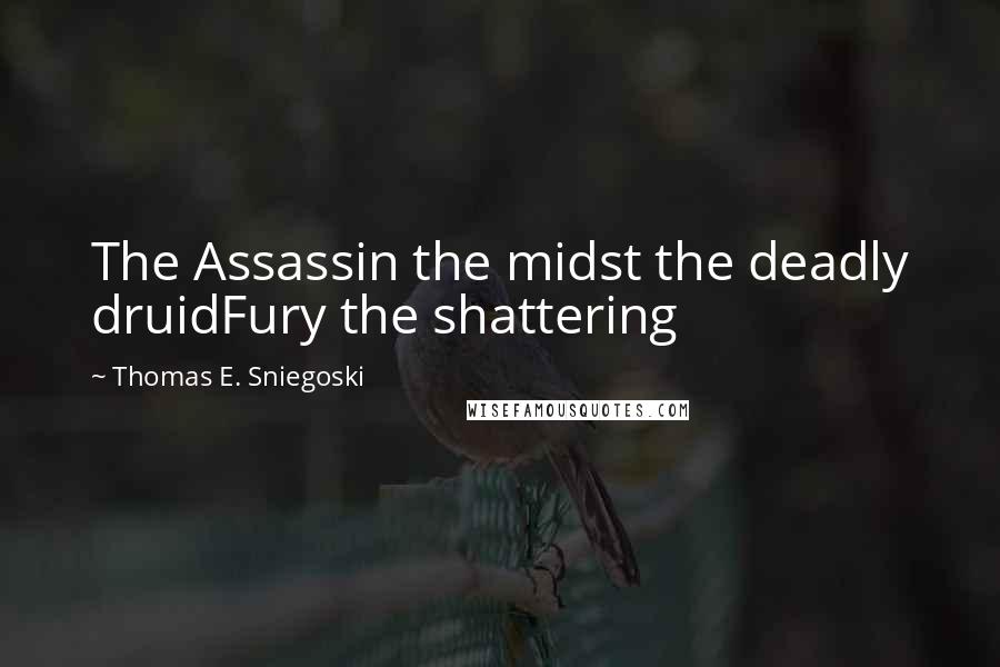Thomas E. Sniegoski Quotes: The Assassin the midst the deadly druidFury the shattering