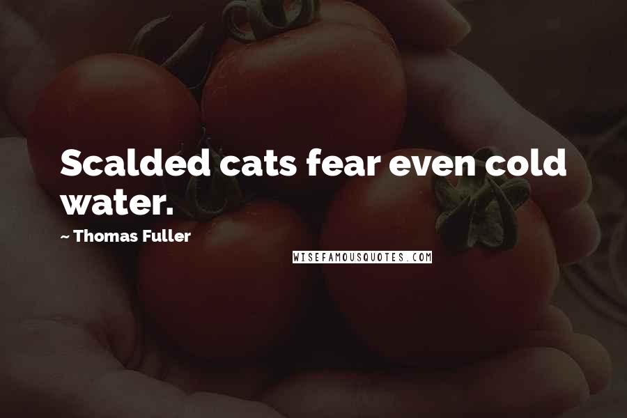 Thomas Fuller Quotes: Scalded cats fear even cold water.