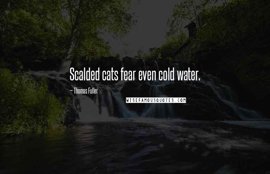 Thomas Fuller Quotes: Scalded cats fear even cold water.