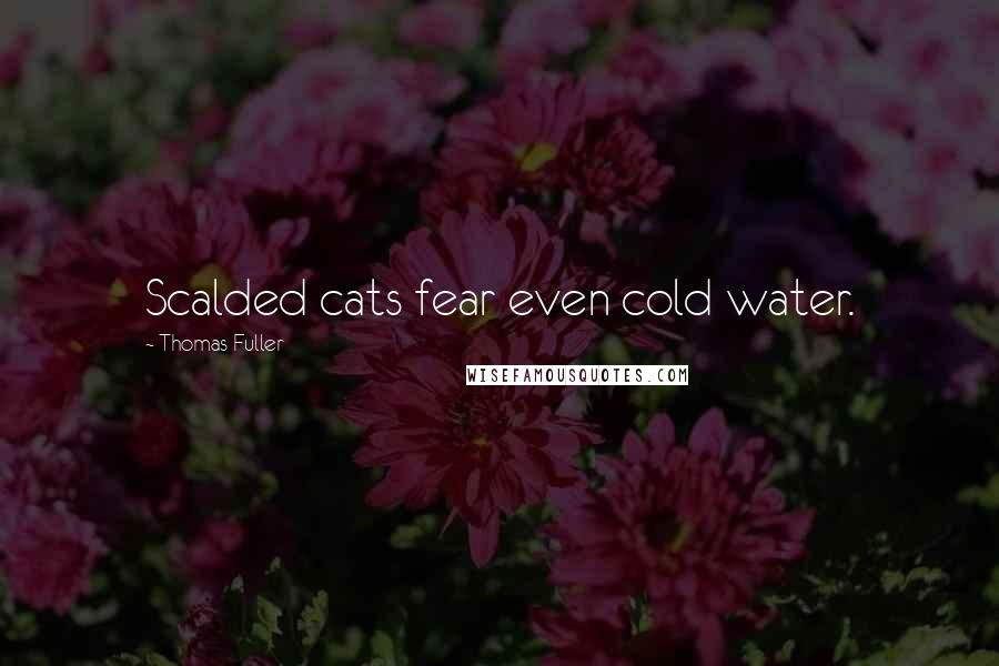 Thomas Fuller Quotes: Scalded cats fear even cold water.