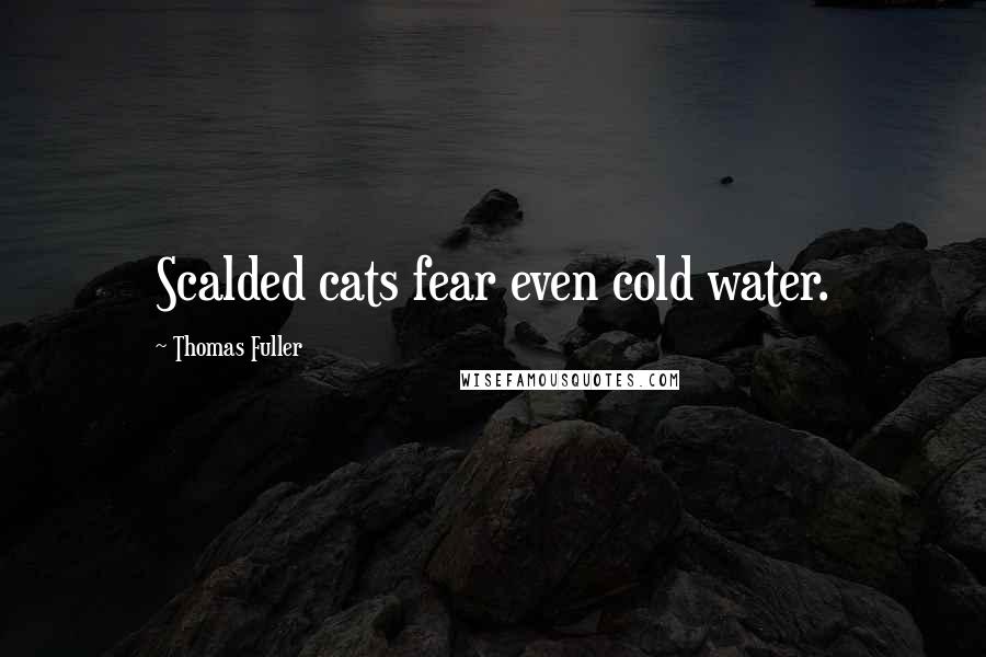 Thomas Fuller Quotes: Scalded cats fear even cold water.