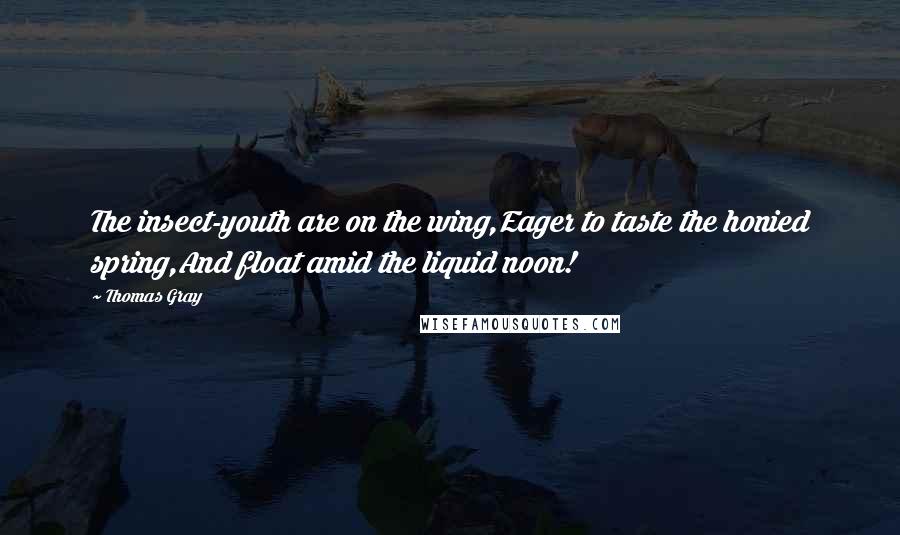 Thomas Gray Quotes: The insect-youth are on the wing,Eager to taste the honied spring,And float amid the liquid noon!
