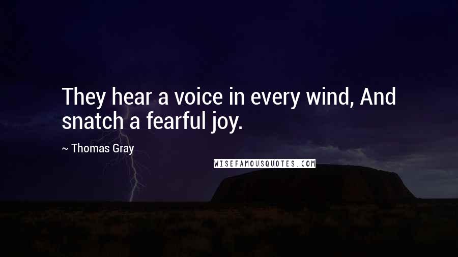 Thomas Gray Quotes: They hear a voice in every wind, And snatch a fearful joy.