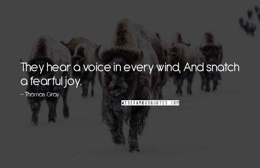 Thomas Gray Quotes: They hear a voice in every wind, And snatch a fearful joy.