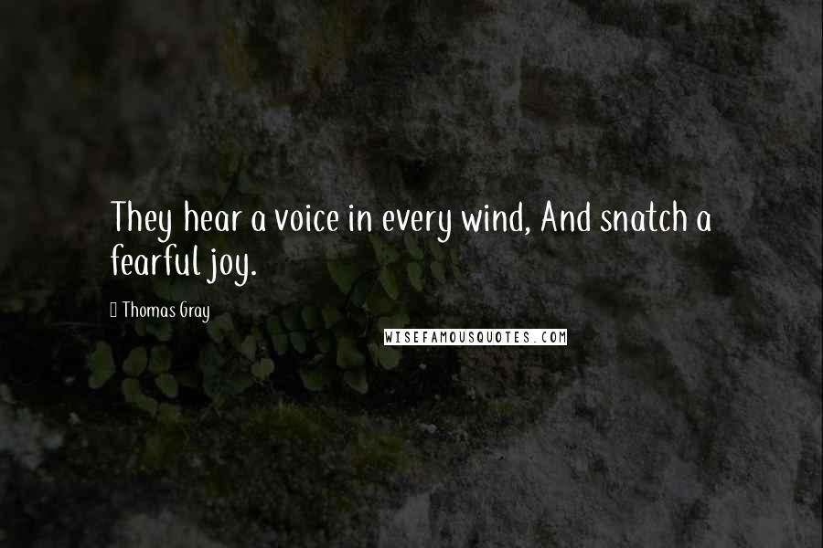 Thomas Gray Quotes: They hear a voice in every wind, And snatch a fearful joy.